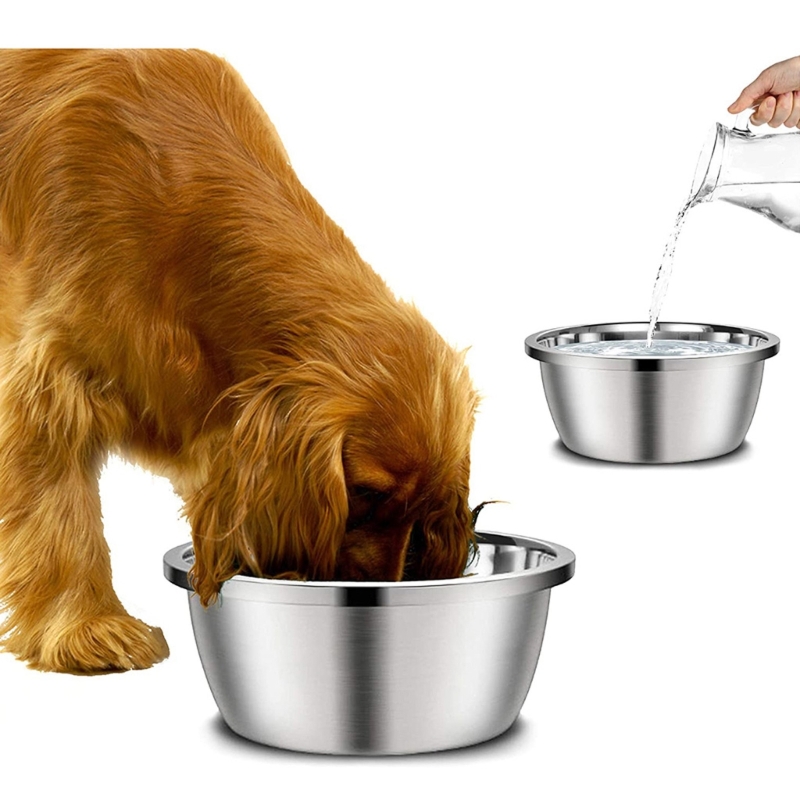 Royal Canin Food Medium - وعاء طعام وماء دائري من الفولاذ